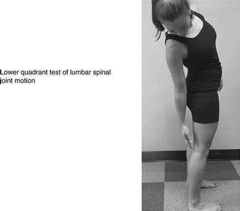 lumbar compression special test|lumbar quadrant test pdf.